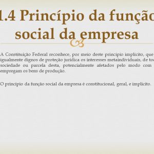 A Constituição Federal reconhece, por meio deste princípio implícito, que são igualmente dignos de proteção jurídica os interesses metaindividuais, de toda a sociedade ou parcela desta, potencialmente afetados pelo modo com que empregam os bens de produção. O princípio da função social da empresa é constitucional, geral, e implícito.