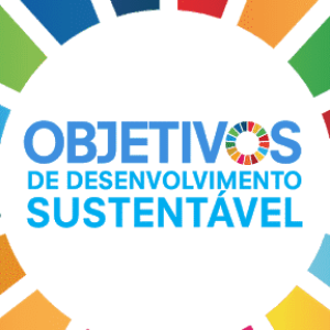 Agenda da Sustentabilidade para Companhias Abertas